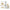 gid://shopify/Product/9874617205064_1