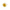 gid://shopify/Product/9874603934024_1