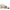 gid://shopify/Product/9874313773384_1