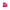 gid://shopify/Product/9885705175368_1