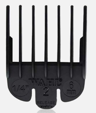 gid://shopify/Product/9874357813576_1