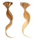 gid://shopify/Product/9880200544584_1