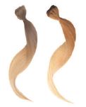 gid://shopify/Product/9880202412360_1