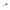 TEKNO FUCHSIA BRUSH
